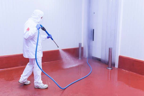 Best Graffiti Removal  in Fostoria, OH